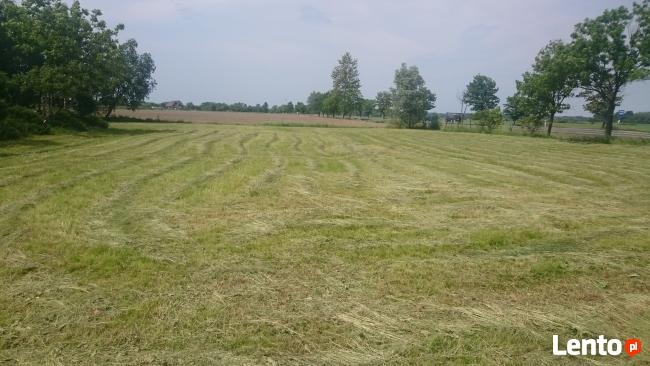 siedlisko z działka przy DK50 pod działalność/inwestycje