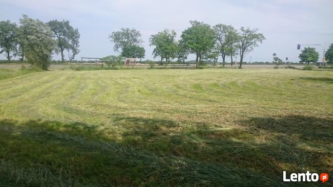 siedlisko z działka przy DK50 pod działalność/inwestycje