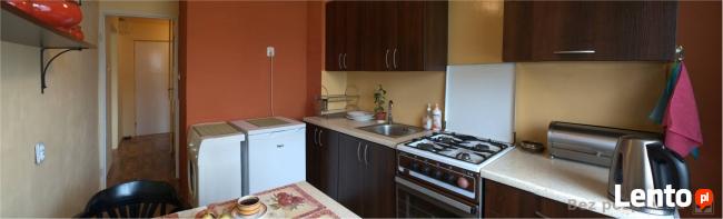 Bez pośpiechu mieszkanie do wynajęcia w Wysowej-Zdrój