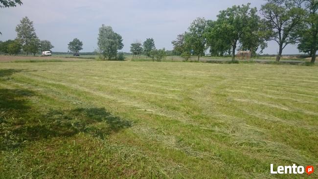 siedlisko z działka przy DK50 pod działalność/inwestycje