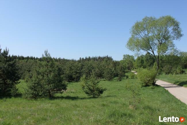 Działka w Kotkowie