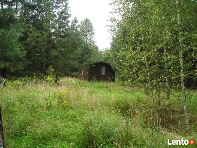 KRAWNO Działka rekreacyjna Mazury-Mrągowo CENA DO NEGOCJACJI