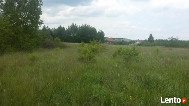 Sprzedam działka budowlane w Nowej Dębie ul Niżańska