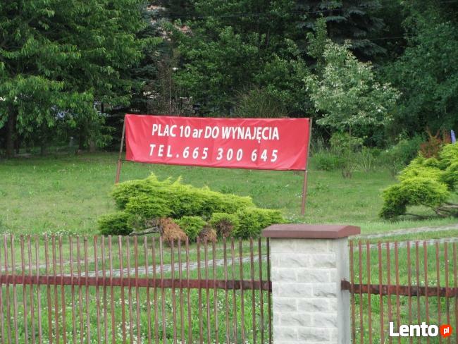 Działka/Plac do wynajęcia
