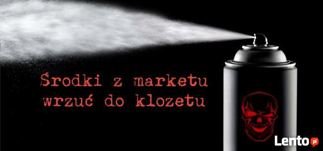 Dezynsekcja mieszkań - karaluchy, karaczany, prusaki, pluskw