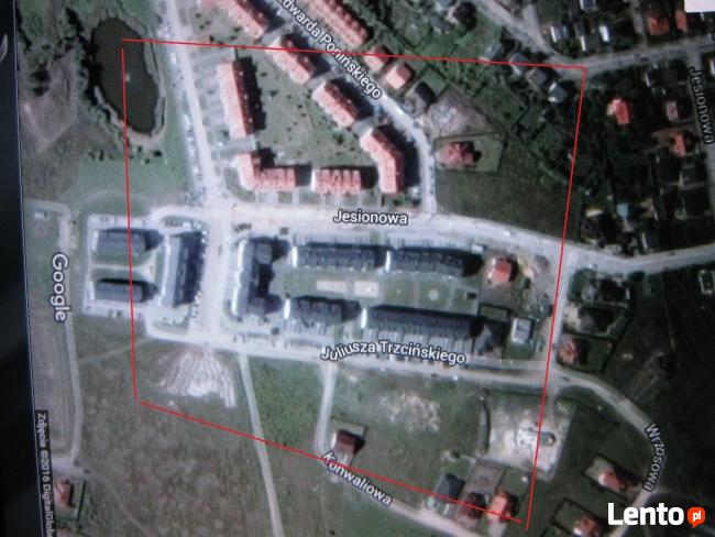 lokalizacja zaginionych/skradzionych zwierząt-mapa,wahadło