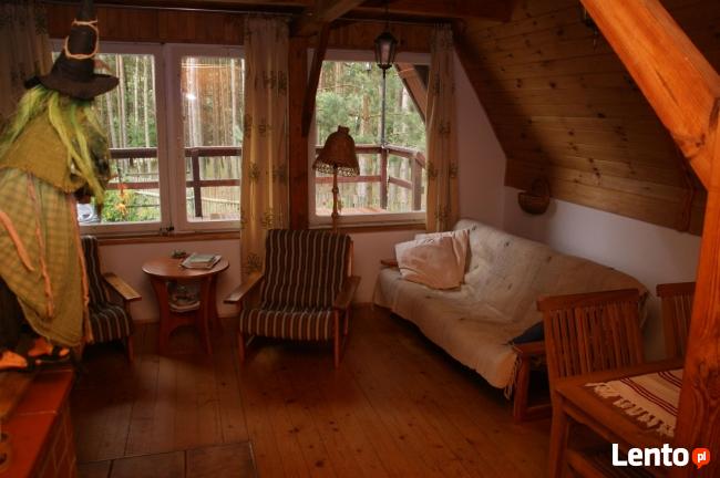 Domek letniskowy Bory Tucholskie