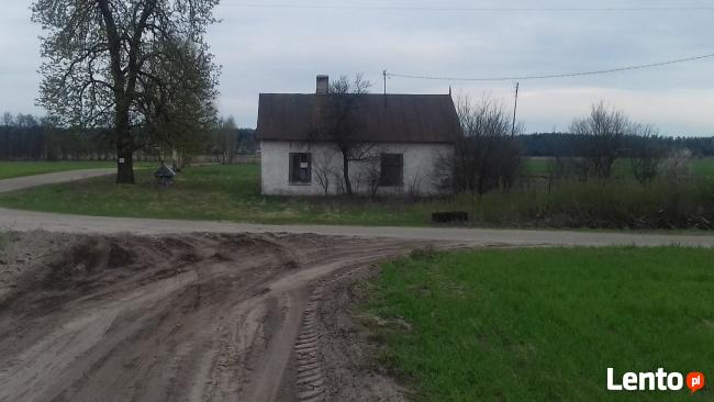 Działka siedliskowa Halinin