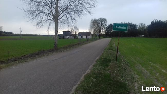 Działka siedliskowa Halinin