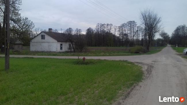 Działka siedliskowa Halinin