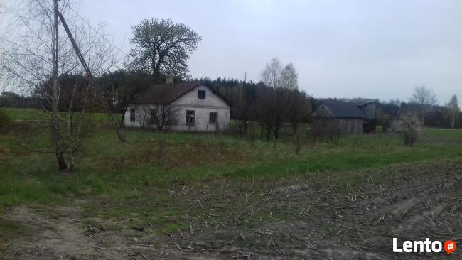 Działka siedliskowa Halinin