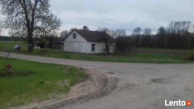 Działka siedliskowa Halinin