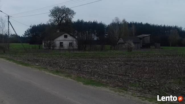 Działka siedliskowa Halinin
