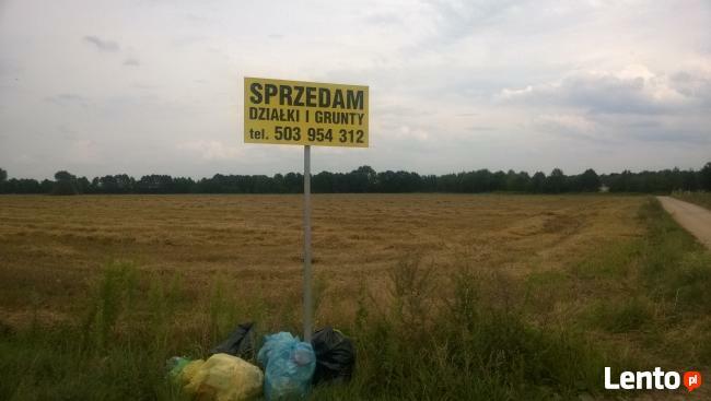 Jezioro leśne mn randki