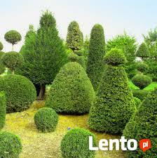 usługi ogrodnicze - wolne terminy