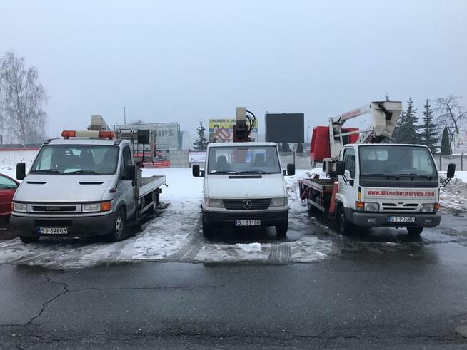Wycinka drzew i przycinanie drzew. Śląsk i okolice! Tanio i
