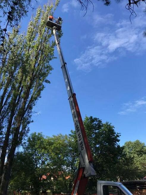 Wycinka drzew i przycinanie drzew. Śląsk i okolice! Tanio i
