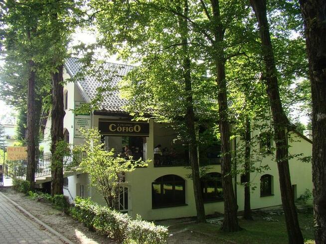 wynajmę na gastronomię lokal na mieszkanie biuro kancelarię