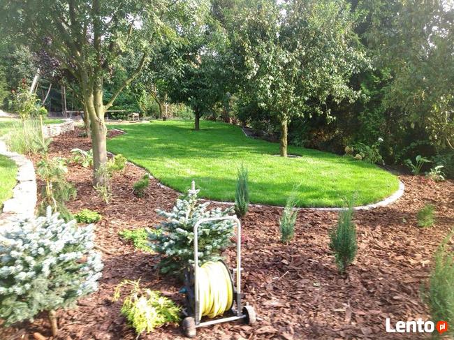 Płock: zakładanie ogrodów, projekt i wykonanie, nawodnienie