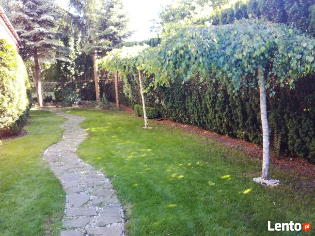 Usługi Ogrodnicze przygotowanie ogrodu do zimy