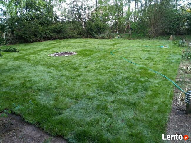 Płock: zakładanie ogrodów, projekt i wykonanie, nawodnienie