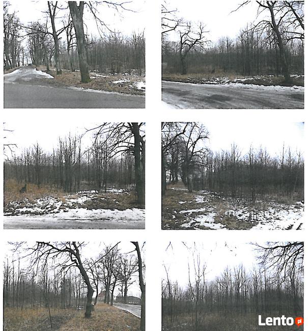 Syndyk upadłości sprzeda 1/2 nieruchomości w Olszynce