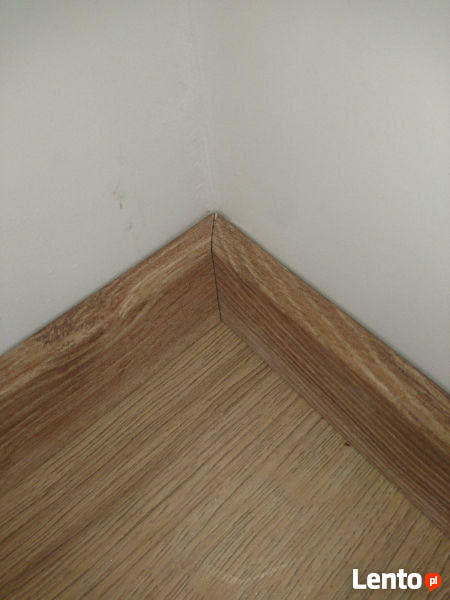 Wykonuje kompleksowe remonty mieszkań ,domów ,lokali.