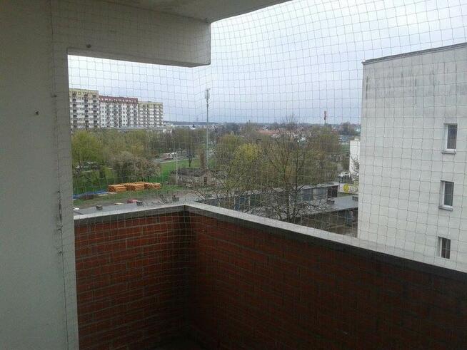 SIATKI NA BALKON PRZECIW PTAKOM!!