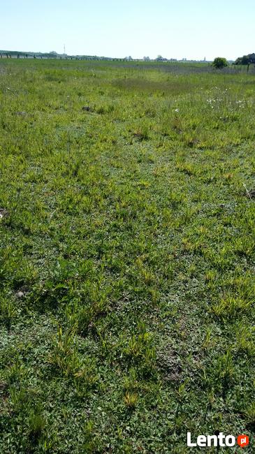 Dzialki budowlane w Gorzowie w dzielnicy Karnin ul. Letnia