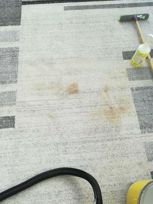 Pranie pranicerki samochodowej, dywanów i mebli. F-VAT