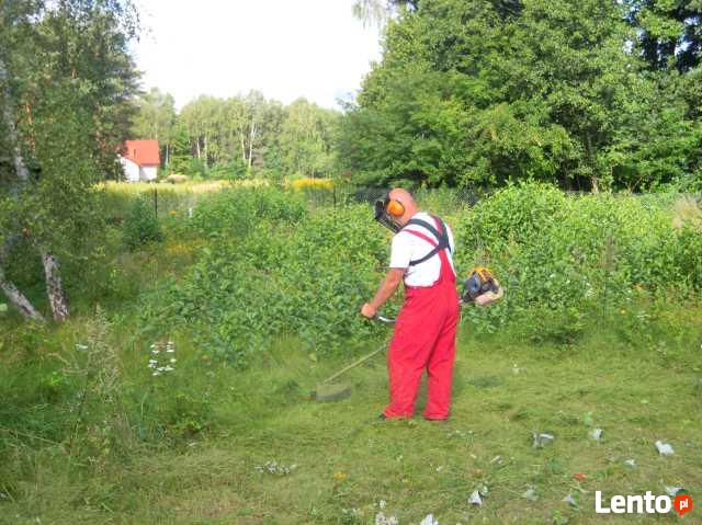 Przycinki gałęzi drzew Wycinki krzewów Mielenie Rębak Płock