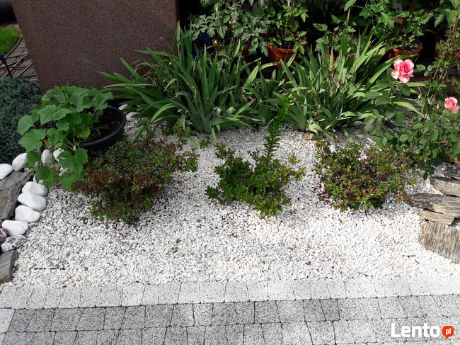 TARASO Biała MARIANNA kamień grys ozdobny do ogrodu. TRANSPO