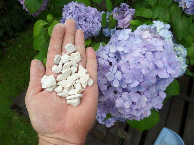 TARASO Biała MARIANNA kamień grys ozdobny do ogrodu. TRANSPO