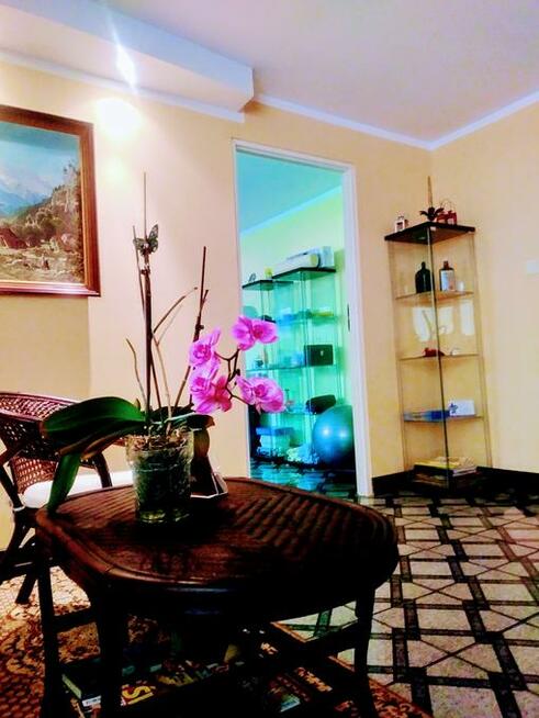 Rehabilitacja masaż, Hirudoterapia