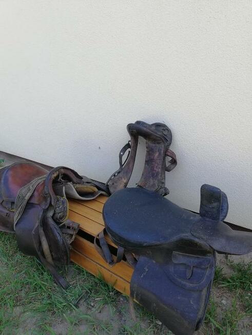 Osprzęt konny (homonto, siodła, szory, lejce)