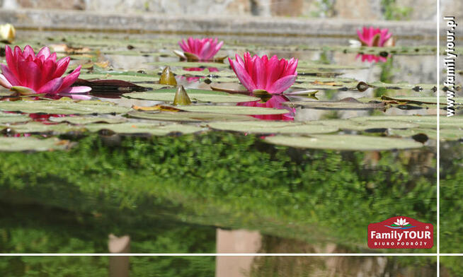 Uzdrawiające kąpiele, spokój i bajkowy zamek - BOJNICE