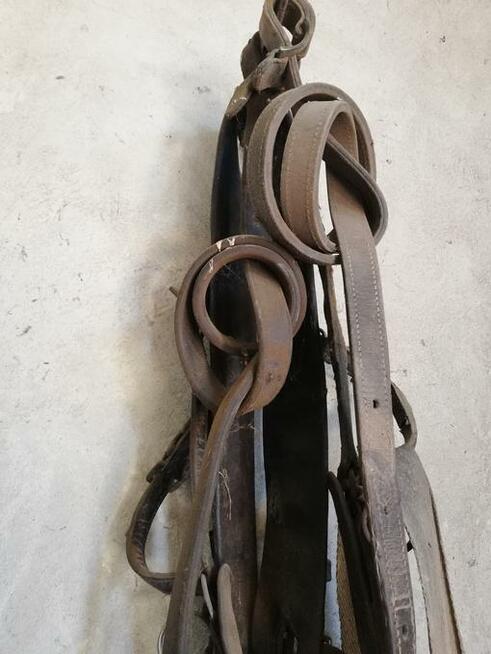 Osprzęt konny (homonto, siodła, szory, lejce)