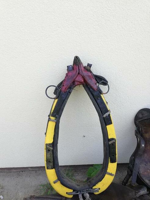 Osprzęt konny (homonto, siodła, szory, lejce)