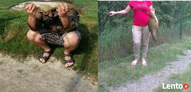 domki nad jeziorem SKULSK