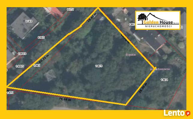 SOSNOWIEC - OSTROWY - DUŻA DZIAŁKA W ATRAKCYJNEJ LOKALIZACJI