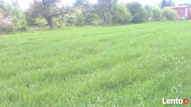 Sprzedam działkę budowlaną