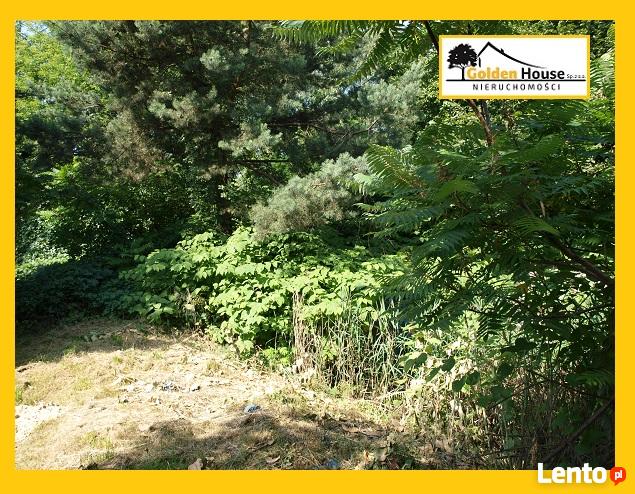 SOSNOWIEC - OSTROWY - DUŻA DZIAŁKA W ATRAKCYJNEJ LOKALIZACJI