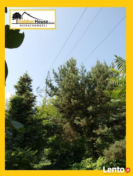 SOSNOWIEC - OSTROWY - DUŻA DZIAŁKA W ATRAKCYJNEJ LOKALIZACJI