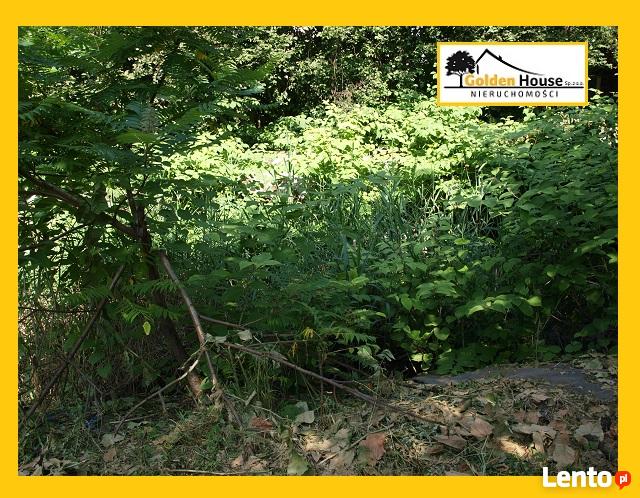 SOSNOWIEC - OSTROWY - DUŻA DZIAŁKA W ATRAKCYJNEJ LOKALIZACJI