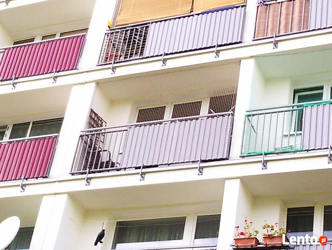 Montaż siatki:balkon, okno przed ptakami, wypadnięciu kotka.