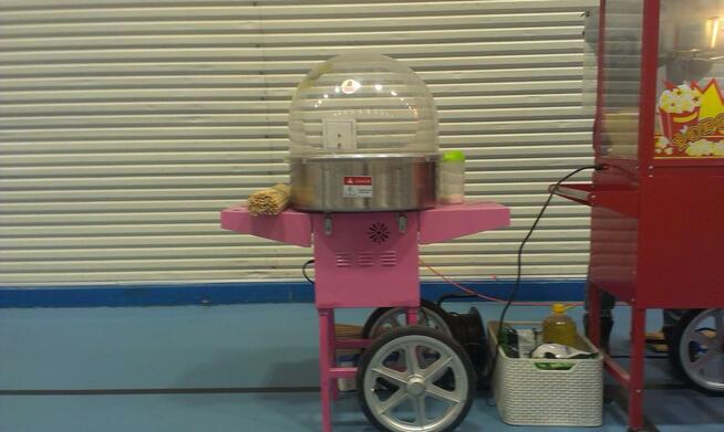 Animatorka dla dzieci