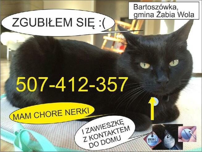 Randki i przyjaciele (20351) Usugi i firmy (35901) 10 lip 16:21. 2. 2. Dziaka abia wola Do wynajcia umeblowana kawalerka, Wola, cena do negocjacji. Darmowe ogoszenia drobne w - Ogoszenia Mazowieckie