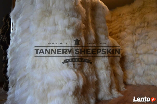 Sheepskin Rug Tannery Sheepskin, Poland Sheepskin Decorativ
