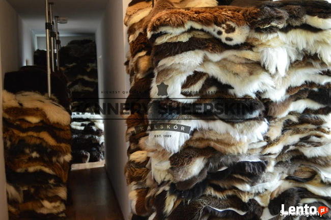 Sheepskin Rug Tannery Sheepskin, Poland Sheepskin Decorativ