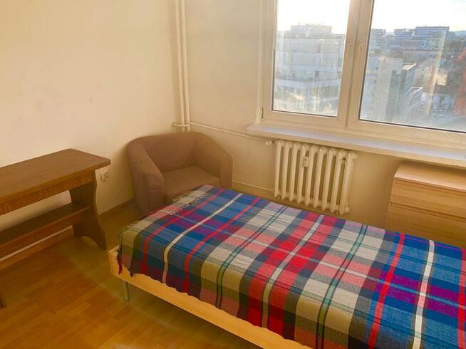 Mieszkanie do wynajecia